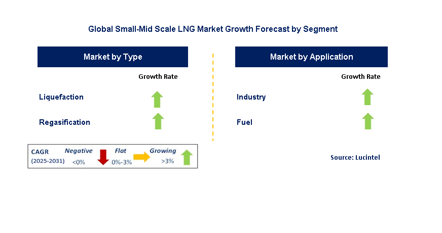 Small-Mid Scale LNG Market by Segment
